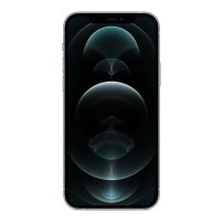 iPhone 12 Pro Max 256 Go - Argent